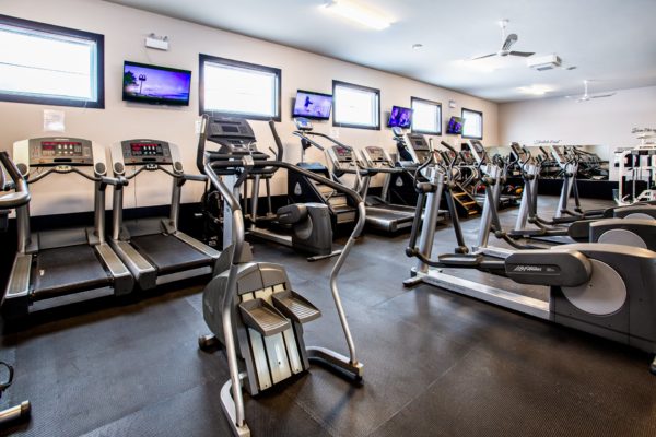 cardio equipment room at gears gains in labrador