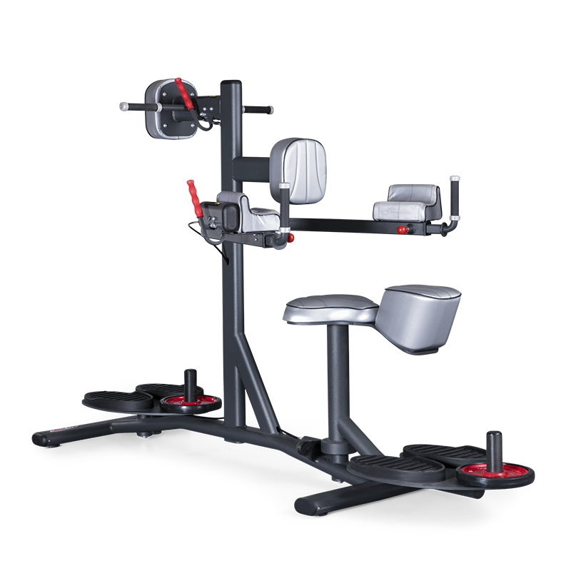Panatta FIT EVO Standing And Seated Double Twister