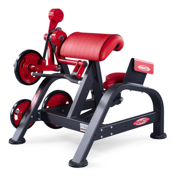 Panatta FREEWEIGHT SPECIAL Curling Machine