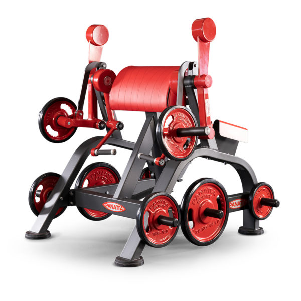 Panatta FREEWEIGHT SPECIAL Alternate Curling Machine