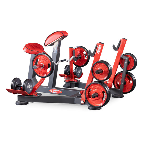 Panatta FREEWEIGHT SPECIAL Preacher Curl Bench