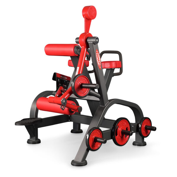 Panatta FREEWEIGHT SPECIAL Reverse Hyperextension