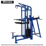 PowerBody #4066 Selectorized Assisted Chin N Dip With Non Assisted-dip And Hip Flexor Combo