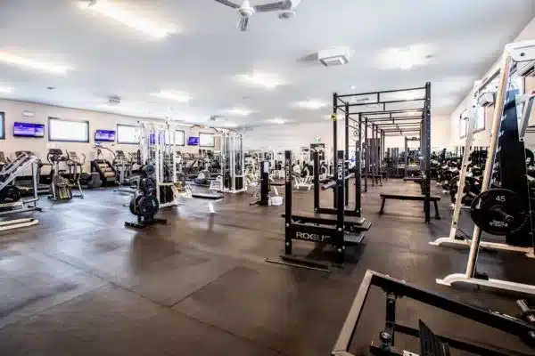 Fitness equipment stores mississauga sale