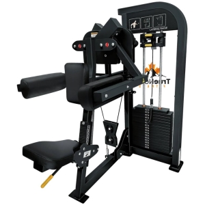 True North Lateral Raise